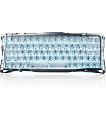 Amazon | YMDK GH60 GK61 RGB ホットスワップ 独立ドライバー Tyce-C