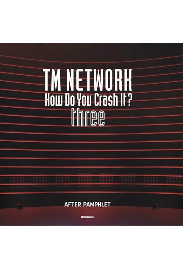 TM NETWORK How Do You Crash It? one AFTER PAMPHLET (リットー