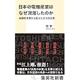 日本の電機産業はなぜ凋落したのか　体験的考察から見えた五つの大罪 (集英社新書)