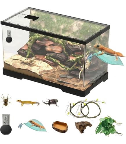 Amazon | GEX EXOTERRA レプテリア レオパ飼育キットM 爬虫類用ガラス