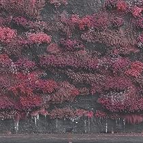 Amazon.co.jp: Sundowning: ミュージック