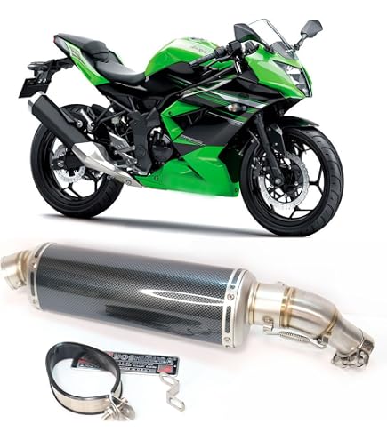 Amazon | Realize (リアライズ) カワサキ ニンジャ250SL (JBK-BX250A