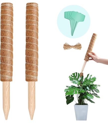 Amazon | BinZyronic ヘゴ支柱 120cm 天然ココナッツ製 – 水分保持で発