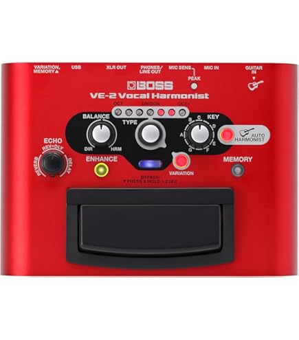 Amazon.co.jp: HAMMOND LESLIE レスリー レスリースイッチ CU-1