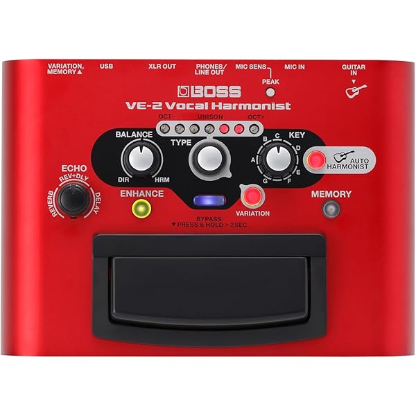 Amazon.co.jp: Mooer ムーアー MVP1 Autuner ディレイ リバーブ ピッチ