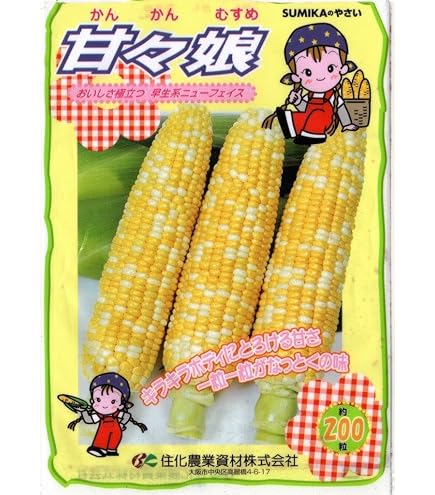 Amazon.co.jp: 甘々娘極甘とうもろこし 種 約2000粒専業農家仕入れ種子