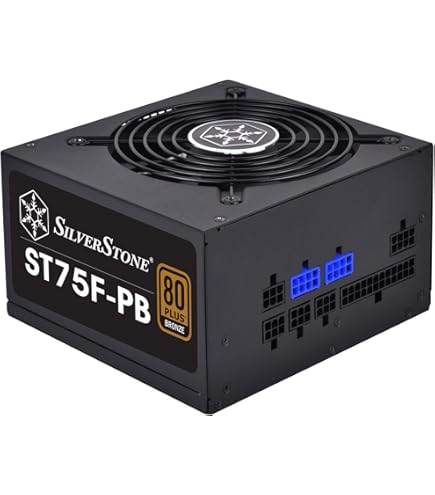 Amazon | SilverStone 750W 80PLUS PLATINUM ATX電源 SST-ST75F-PT
