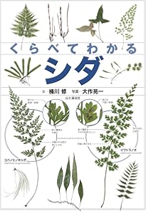 Amazon.co.jp: 日本産シダ植物標準図鑑1 : 海老原 淳, 日本シダの会