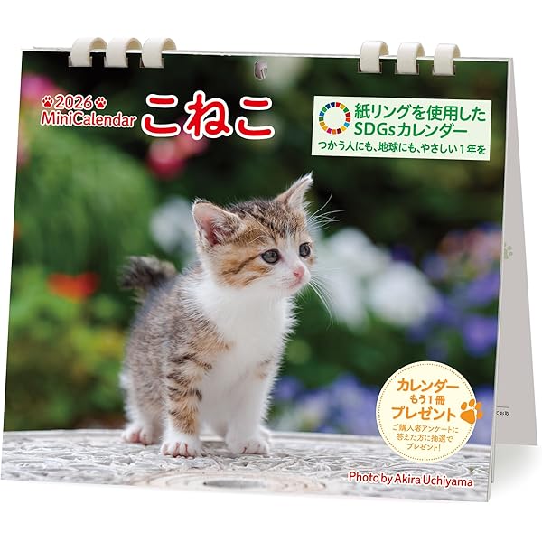 カレンダー2026 ミニカレンダー こねこ（月めくり/卓上・リング/猫