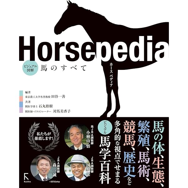 Amazon.co.jp: 追悼 サイレンススズカ (別冊サラブレ) : 浜村 弘一: 本