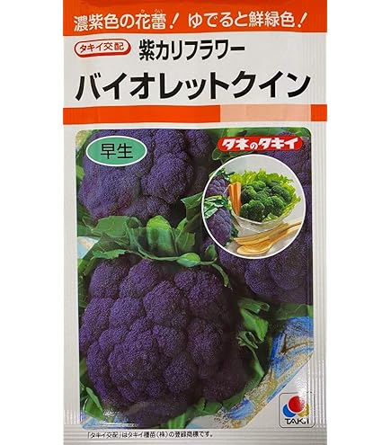 Amazon.co.jp: 武蔵野種苗 紫カリフラワー パープルフラワー