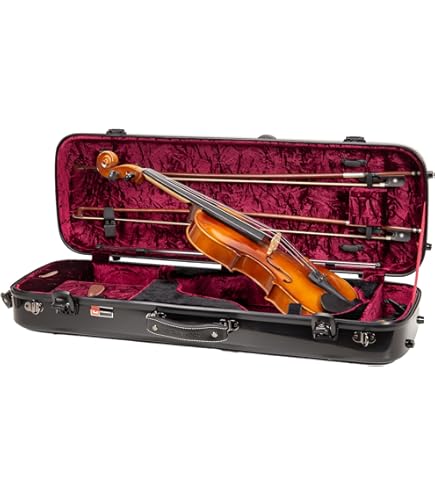 Amazon | GEWA バイオリンケース PURE ピュア 角型 オブロング 黒