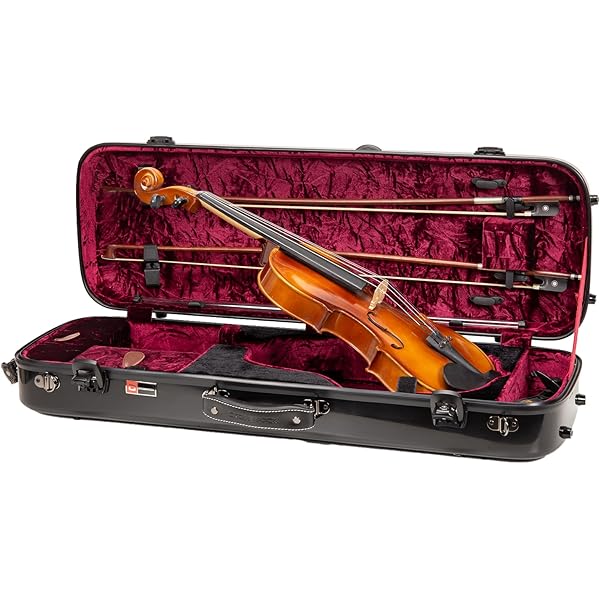 Amazon.co.jp: 徒然日和 【新生活応援商品】4/4 バイオリンケース 軽量
