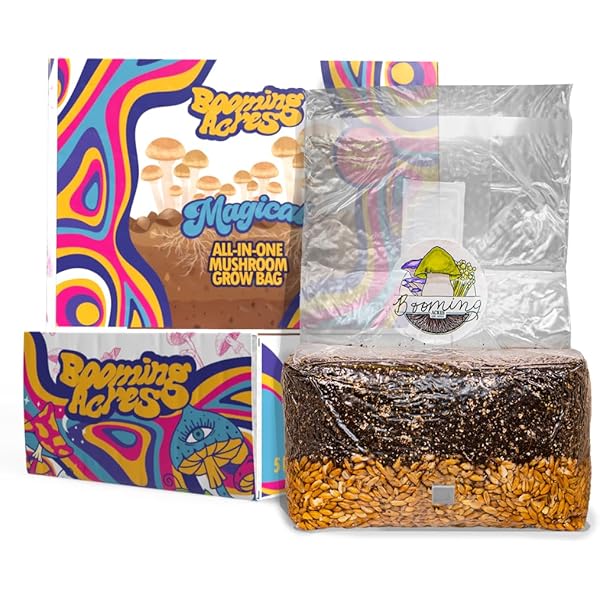 マジック・マッシュル-ム完全栽培マニュアル: 究極の合法ドラッグを誰