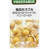 【種子】食用ホオズキ 早生ストロベリートマト ハニーゴールド 藤田種子のタネ