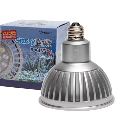 Amazon | ボルクスジャパン GrassyLeDio(グラッシーレディオ) RX122