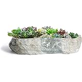 T4U 植木鉢 多肉植物鉢 サボテン鉢 横長24cm プランター 底穴付き 観葉植物適用 陶器製 グレー プレゼント