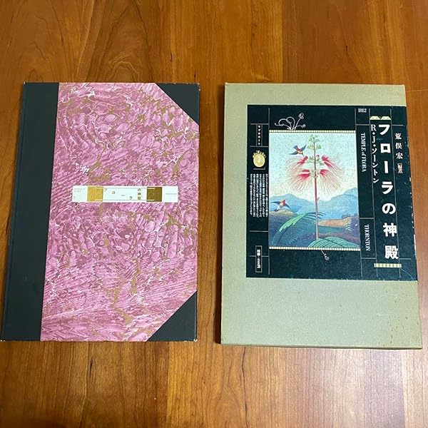 絶版／フローラの神殿　R・J・ソーントン　荒俣宏 編著　リブロポート　1985年 フローラの神殿 新装版 | R.J.ソーントン, 荒俣 宏 |本 | 通販