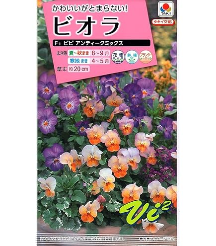 ハンドメイド　ビオラ このお花の表情、たまらん😆💕 寒くても元気なビオラのようにな