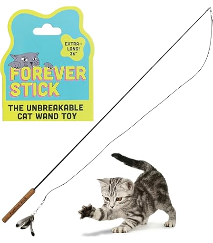 Fairly Odd Novelties Cat Fishing Pole Toy - Funny Interactive Fish Toy for  Cats, Kittens, and Small Pets. Giftable Cat Fishing Rod Novelty Gifts,  Item, FON-10309, Multi-Colored, 1 Count (Pack of 1) :