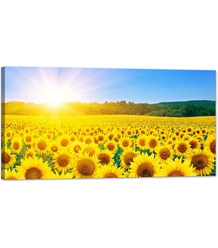 ひまわり畑の風景画 F6 金色フレーム Amazon.co.jp: 日本の風景 美瑛のひまわり畑（北海道）メタルプレート
