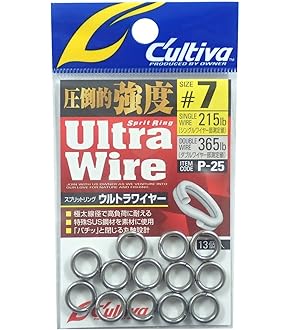 21ツインパワー SW5000.6000番用替えスプール Amazon | 純正パーツ 21 ツインパワー SW 5000XG スプール組