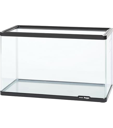 Amazon | ジェックス GEX AQUARIUM ラピレスRV60N 曲げガラス