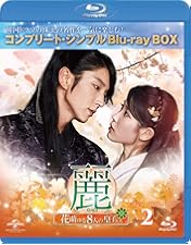 Amazon.co.jp: 麗〜花萌ゆる8人の皇子たち〜 DVD−SET1【180分