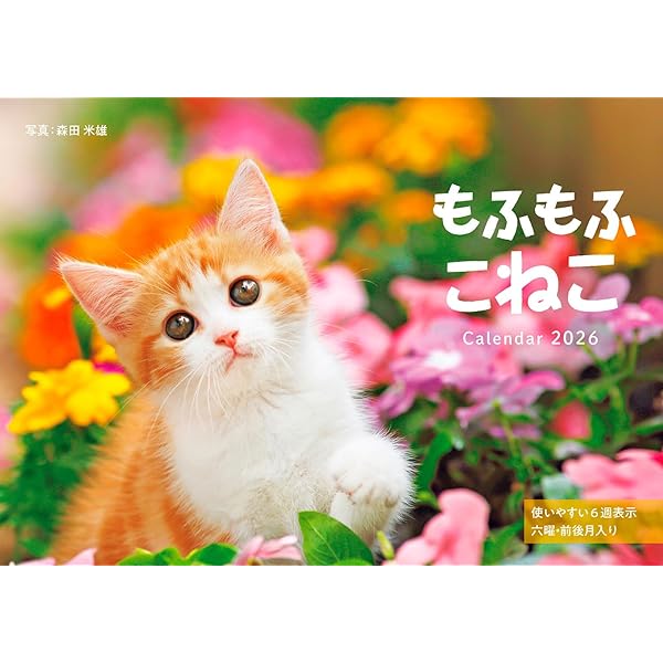 カレンダー2026 ふわふわこにゃんこ（月めくり/壁掛け/600mm×380mm