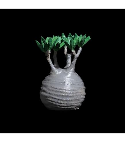 LOBINDON 3D アガベ フィギュア 3種セット 【2種訳アリ】 71ShKijENzL._AC_UL210_SR210,