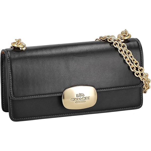 Amazon | [コーチ] ショルダーバッグ リザード調 エライザ フラップ