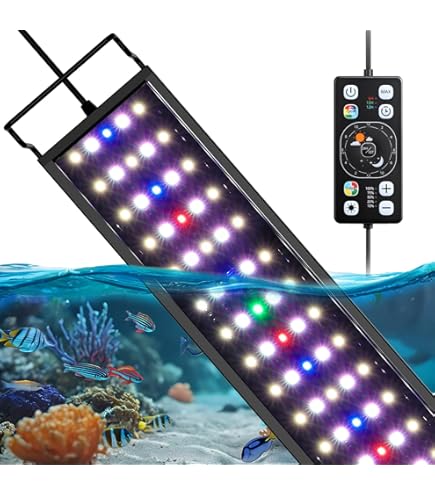 ガラス水槽 LEDライト電源付き Amazon.co.jp: LEDアクアリウムライト カラフルな水中LEDライト