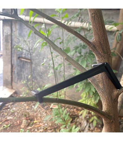 12PCS Fruit Tree Branch Pullers - Iron Branch Bending Tools For Apple, Cherry & Lemon Trees