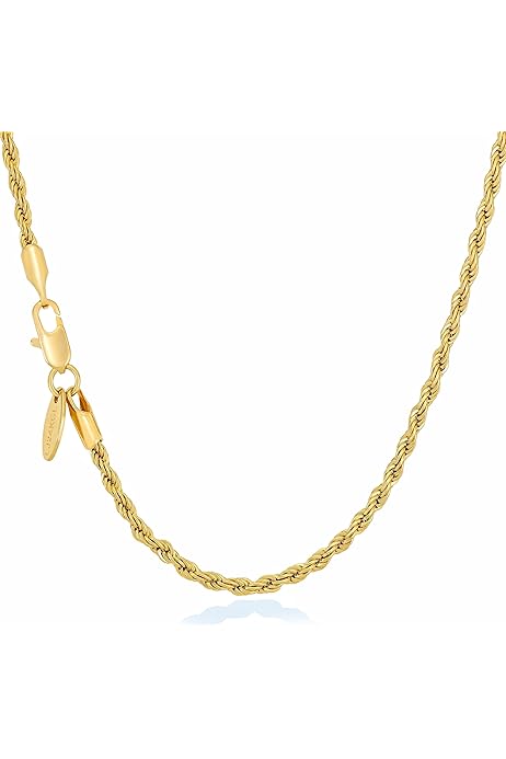 LIFETIME JEWELRY 24k Real Gold Plated 3mm Gold Rope Chain for Men 