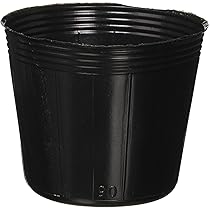 Amazon.co.jp: 第一ビニール ポリポット [黒](20個入りパック