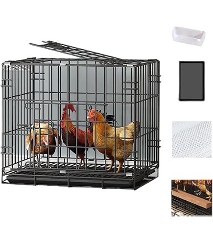 Amazon | 鶏用大型ペットケージ 鶏かご 7-10鶏のためのトレイと卵