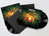 Late Night Tales:Jordan Rakei [輸入2LP](ALNLP61) [Analog]
