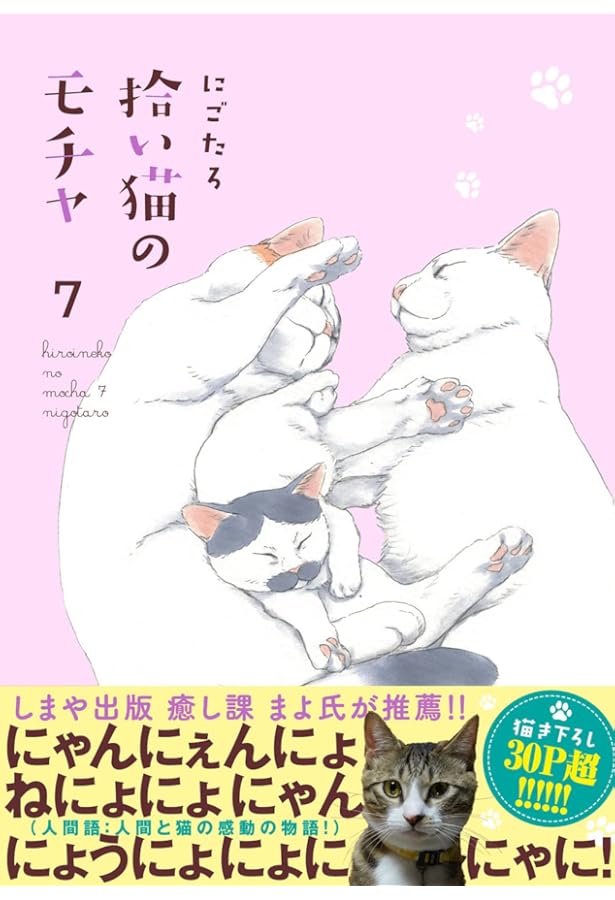 Amazon.co.jp: 拾い猫のモチャ8 (KITORA) : にごたろ: 本
