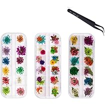 ドライフラワーネイルアートシリーズ2-新作油絵-04（シングルボックス） ドライフラワーネイルアートシリーズ2-新作油絵-04（シングルボックス