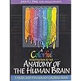 A Colorful Introduction to the Anatomy of the Human Brain: A Brain and Psychology Coloring Book