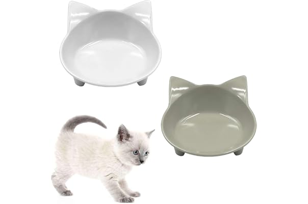 cat bowls amazon