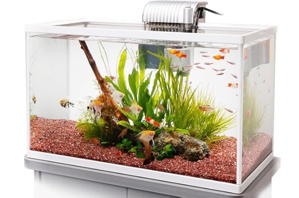 Amazon Co Jp 売れ筋ランキング 魚飼育セット の中で最も人気のある商品です