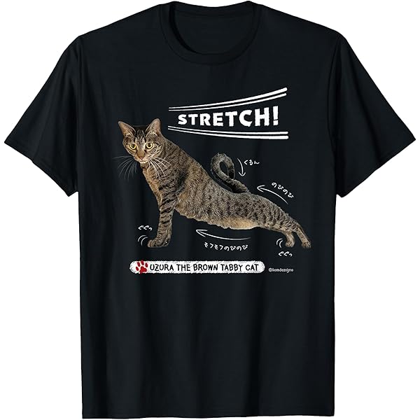 CHOPOVA LOWENA 猫Tシャツ CHOPOVA LOWENA/チョポヴァ・ロウェナ】 Cat Short Sl Mesh Top