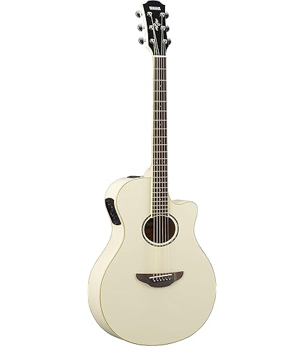 アコギ　グレッグ・ベネット エレアコ Greg Bennett GD-100RSCE/NS Amazon | Greg Bennett GD-100RSCE N アコースティックギター初心者12