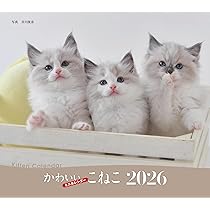 71zxNbYF6IL._AC_UL210_SR210,