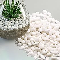 71zzhaKIoIL._AC_UL210_SR210,