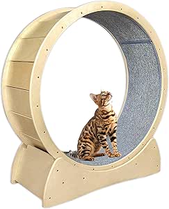 Amazon 猫の車輪の動きのための猫のランニングホイール運動スピニング玩具 猫の屋内活動センター 色 灰色 サイズ 小 Ljyy 筋力トレーニング