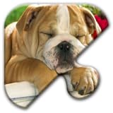 Jigsaw Puzzles Free Game - Chapter 13