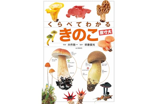 くらべてわかる きのこ (原寸大)