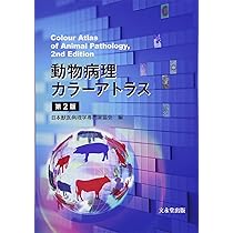 動物病理カラーアトラス 第2版 | 日本獣医病理学専門家協会 |本 | 通販 